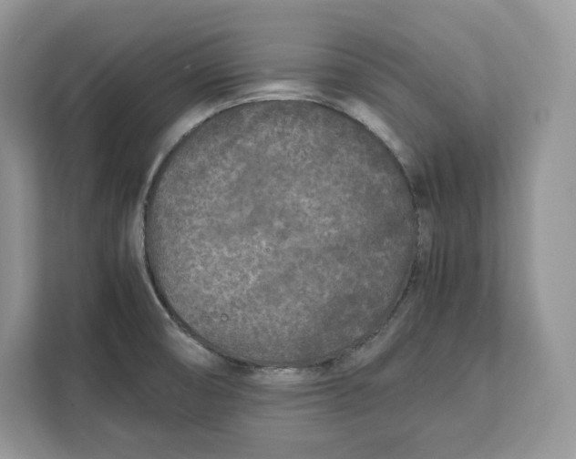 X0000112211474200908281450