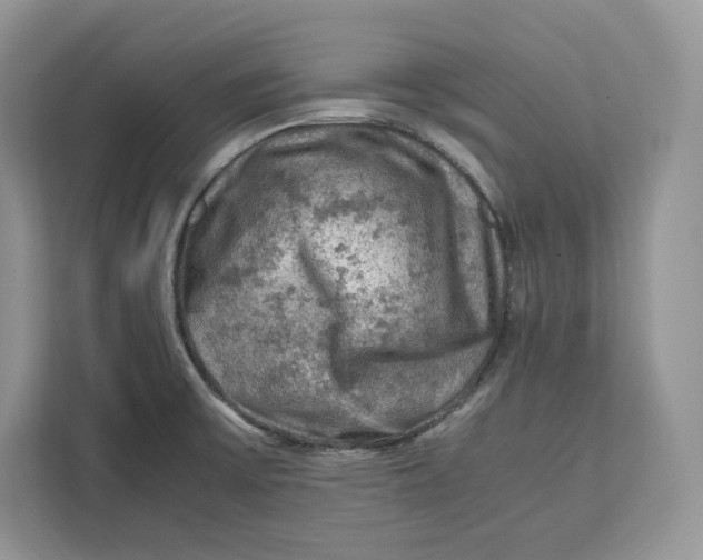 X0000112211475200908281450