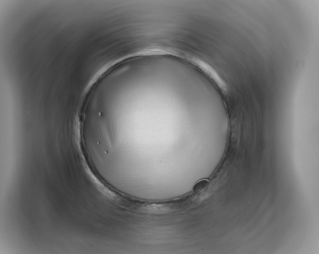 X0000112211476200908281450