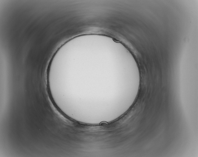 X0000112211479200908281450