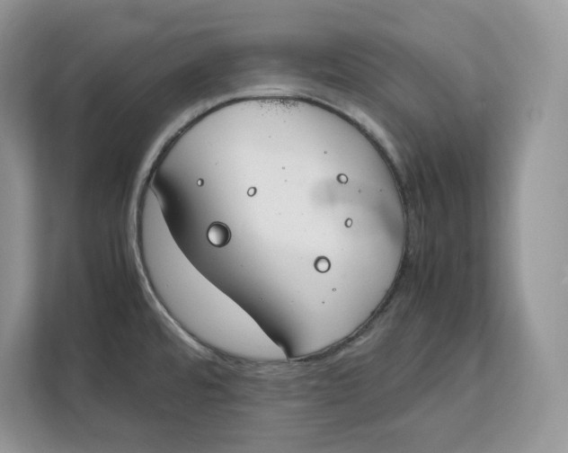 X0000112211480200908281450