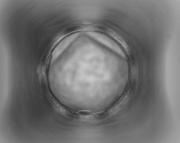 X0000112211481200908281449