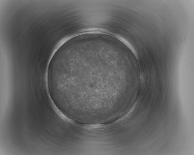 X0000112211482200908281449