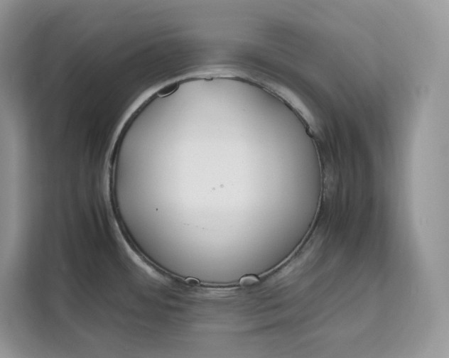 X0000112211484200908281449