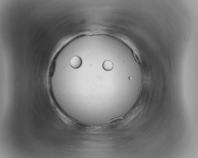 X0000112211485200908281449