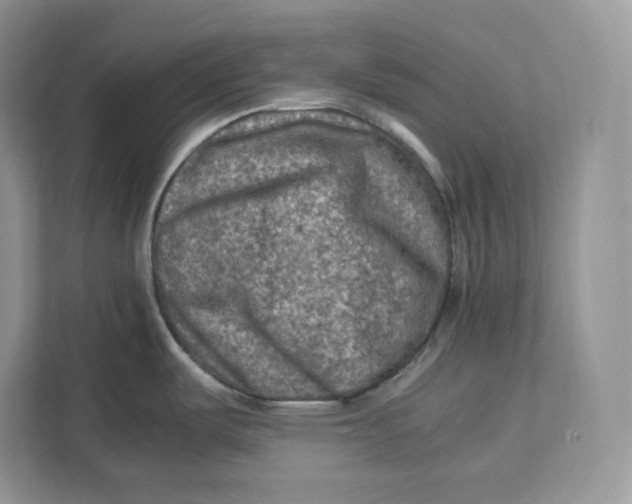 X0000112211487200908281449