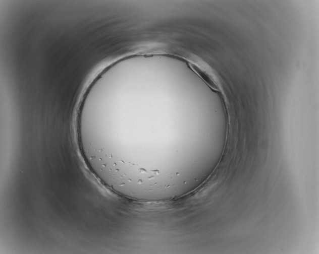 X0000112211488200908281449