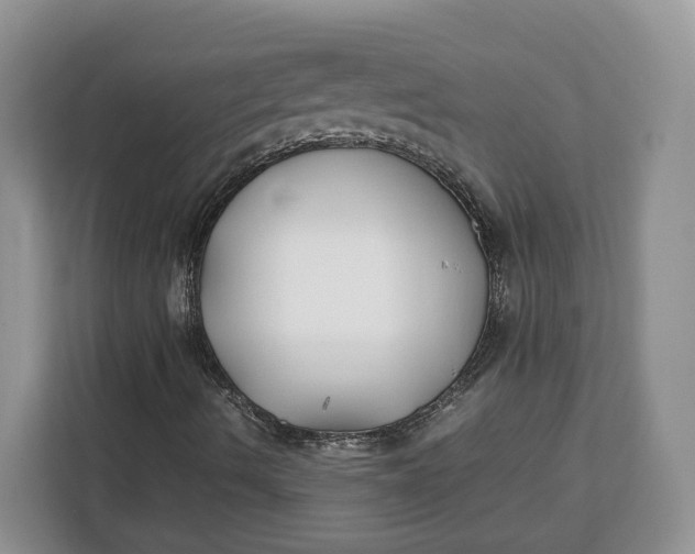 X0000112211490200908281449