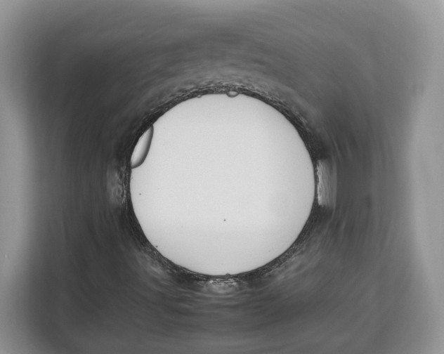 X0000112211491200908281449