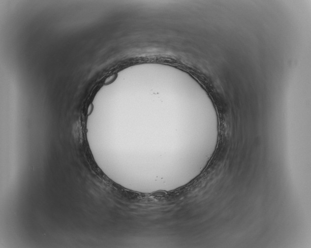 X0000112211493200908281449