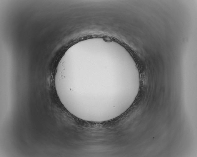 X0000112211495200908281449