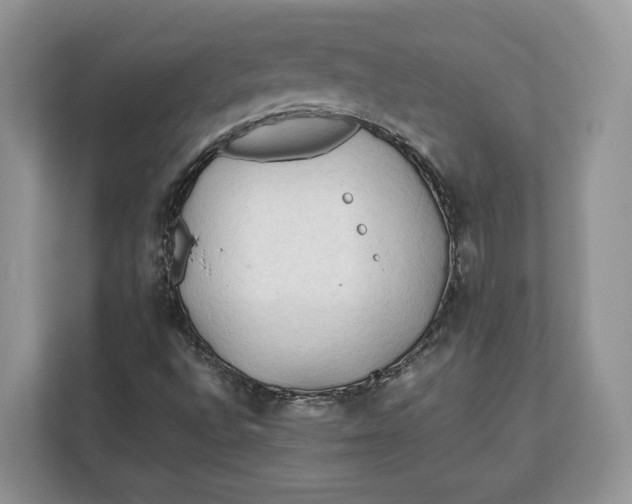 X0000112211496200908281449