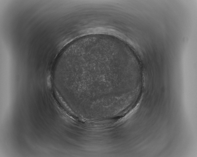 X0000112211497200908281449