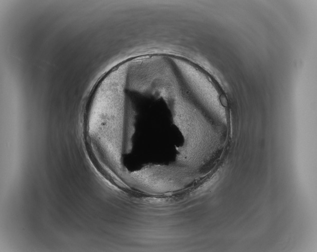 X0000112211500200908281449