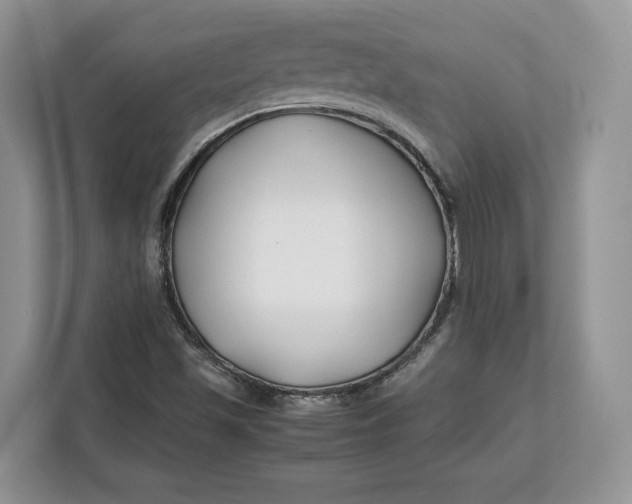 X0000112211501200908281449