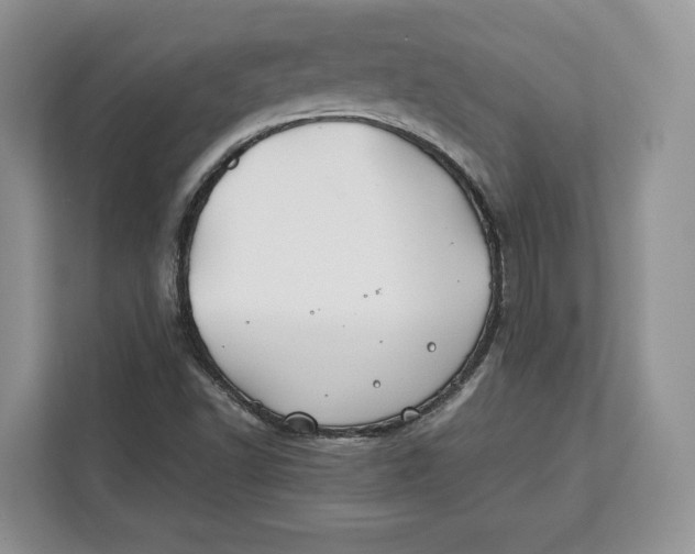 X0000112211502200908281449