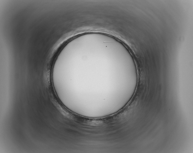 X0000112211503200908281449