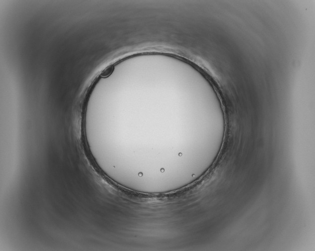 X0000112211504200908281449