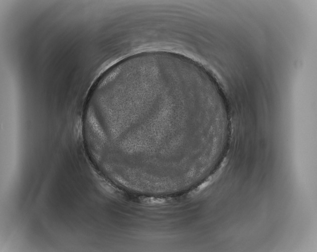 X0000112211505200908281449