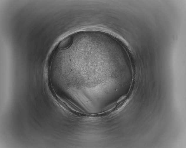 X0000112211506200908281449