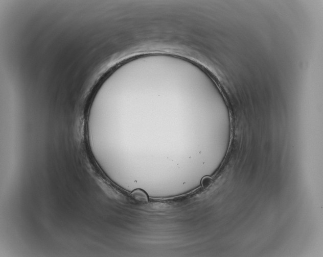 X0000112211507200908281449