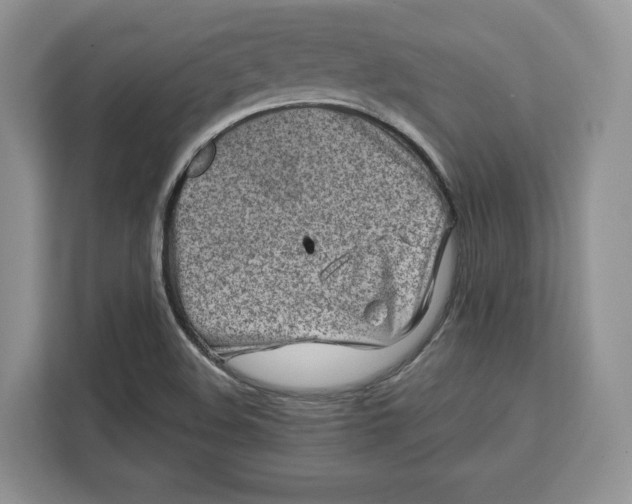 X0000112211508200908281449