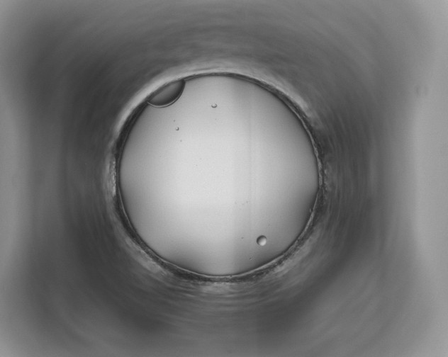 X0000112211510200908281449