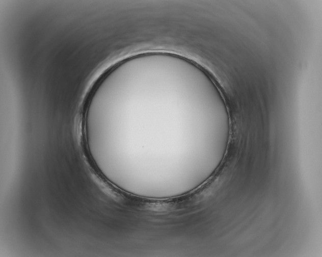 X0000112211511200908281449