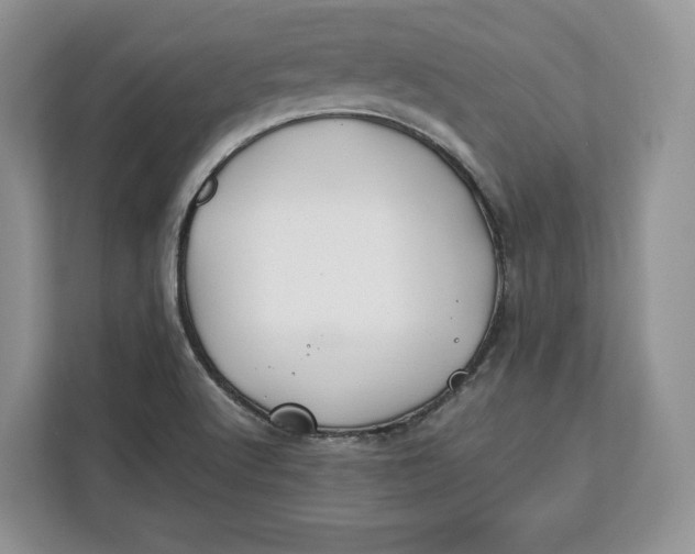 X0000112211512200908281449