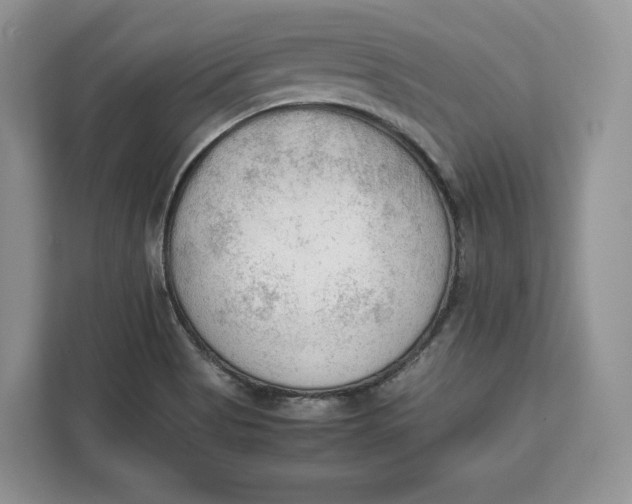 X0000112211513200908281449