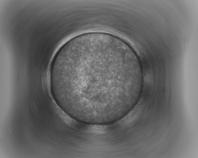 X0000112211514200908281449