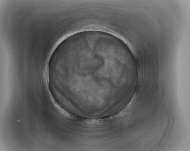 X0000112211515200908281449