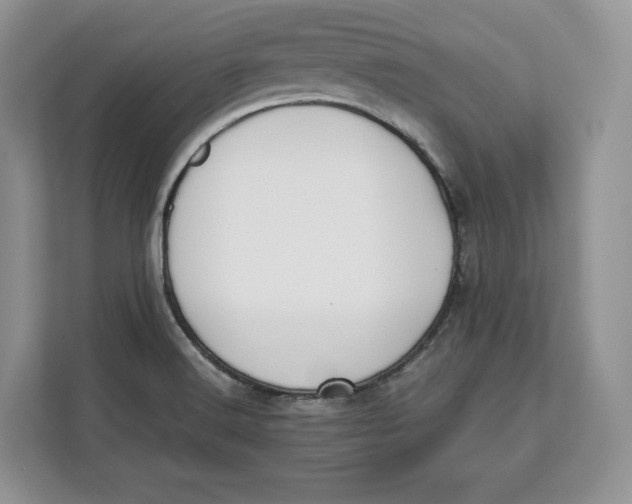 X0000112211516200908281449