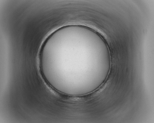 X0000112211517200908281449