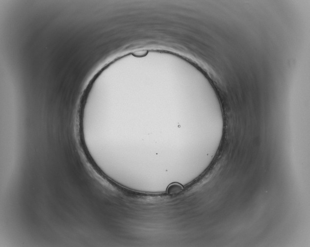 X0000112211518200908281449