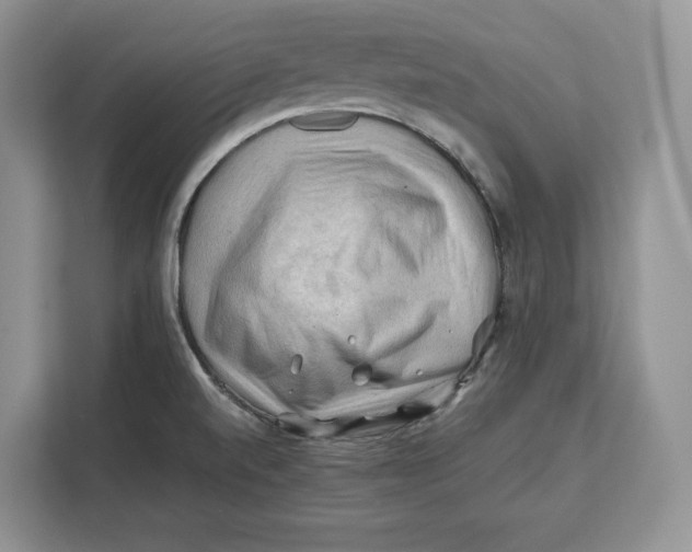 X0000112211520200908281449