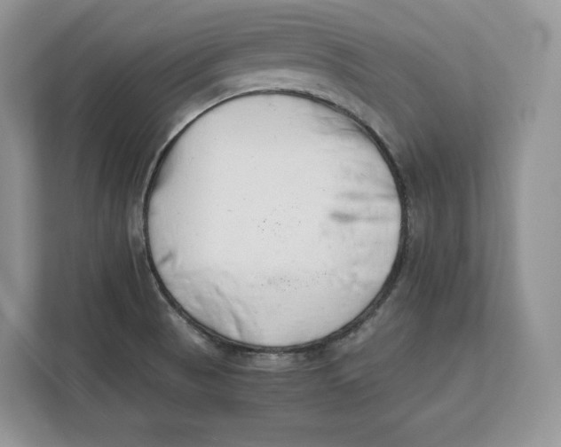 X0000112211521200908281449