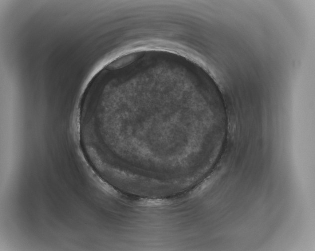 X0000112211522200908281449