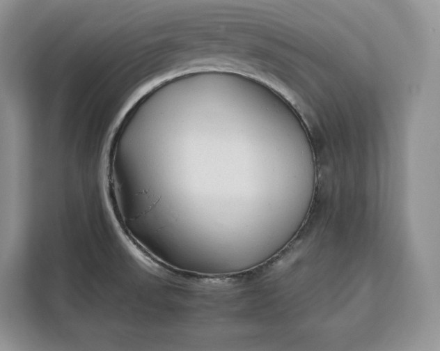 X0000112211523200908281449