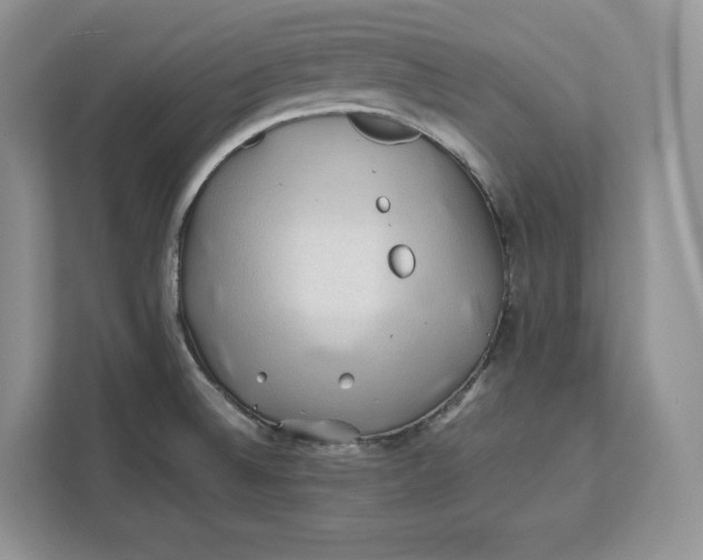 X0000112211524200908281449