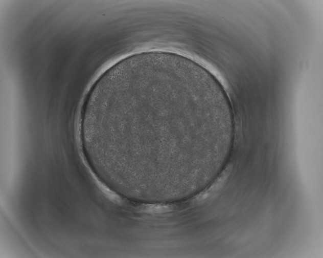 X0000112211525200908281449