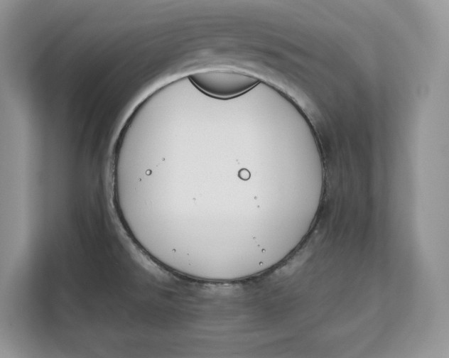 X0000112211526200908281449