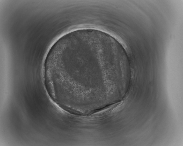 X0000112211527200908281449