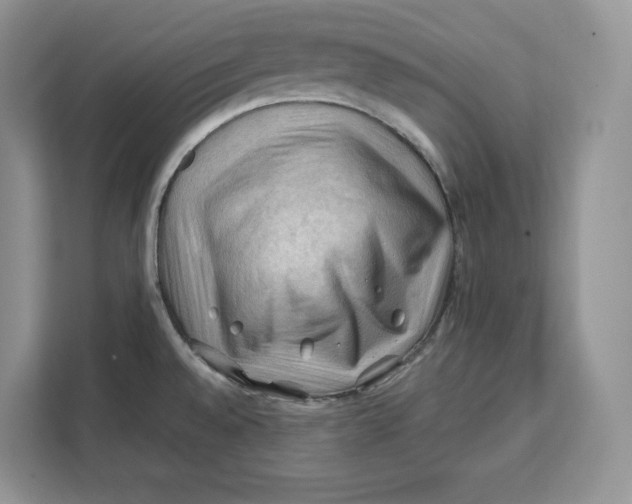 X0000112211528200908281449