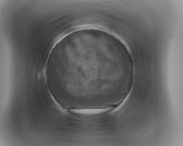 X0000112211529200908281449