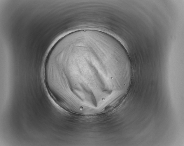 X0000112211531200908281449