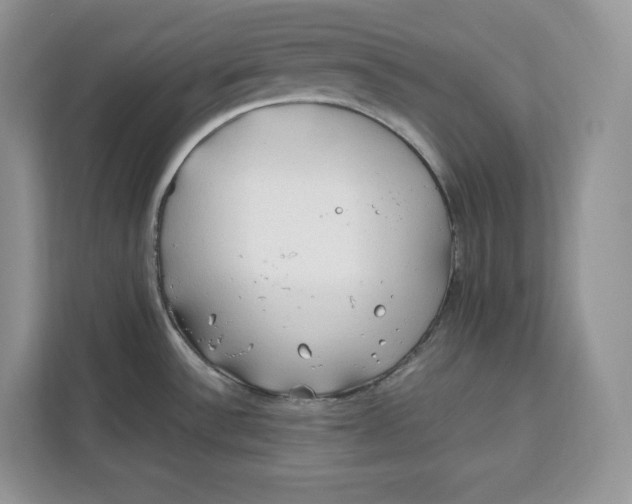 X0000112211532200908281449