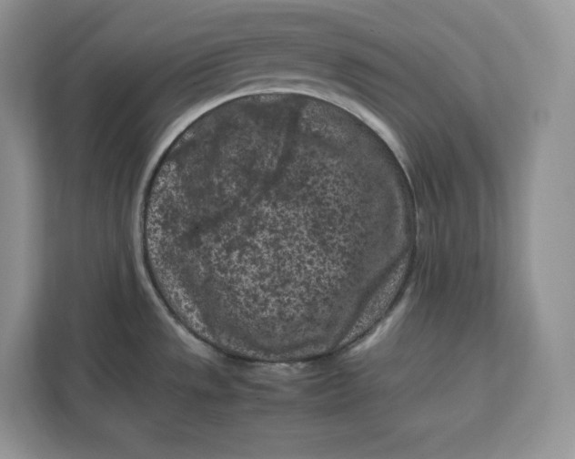 X0000112211533200908281449