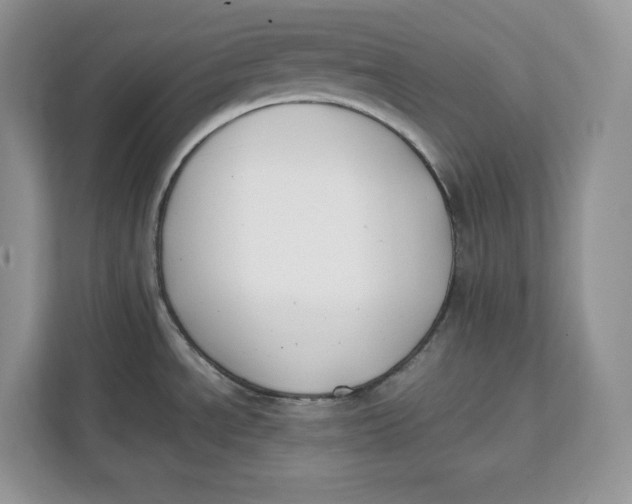 X0000112211534200908281449