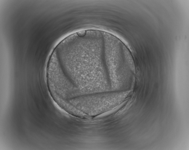 X0000112211535200908281449